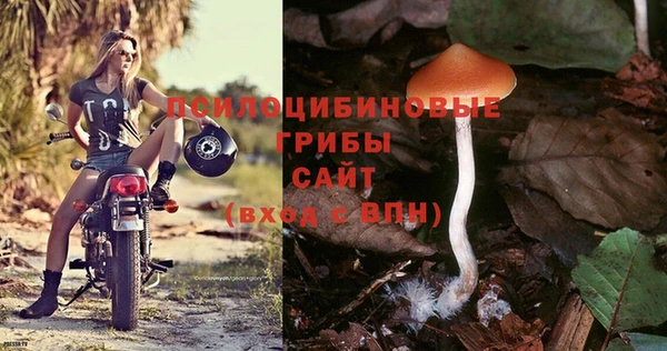 винт Елабуга