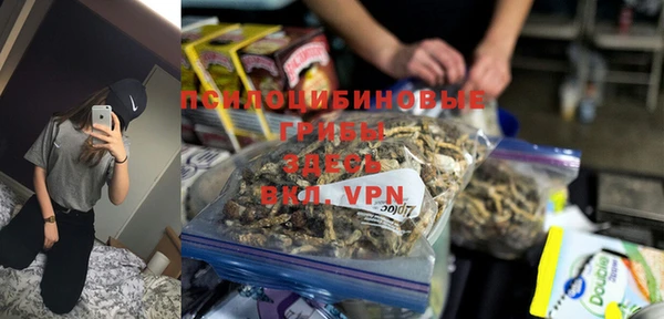винт Елабуга
