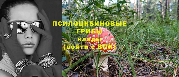 винт Елабуга